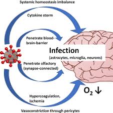 disease associated microglia